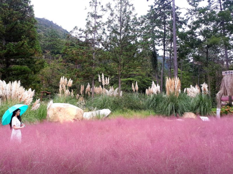 포레스트수목원