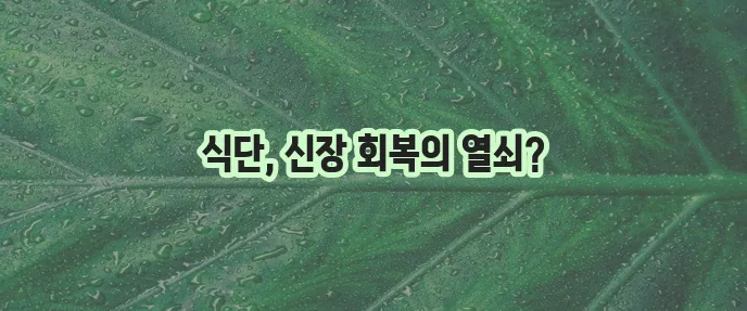 급성 신부전증에 좋은 음식 꼭 알아봐야 합니다!
