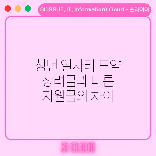 청년 일자리 도약 장려금과 다른 지원금의 차이