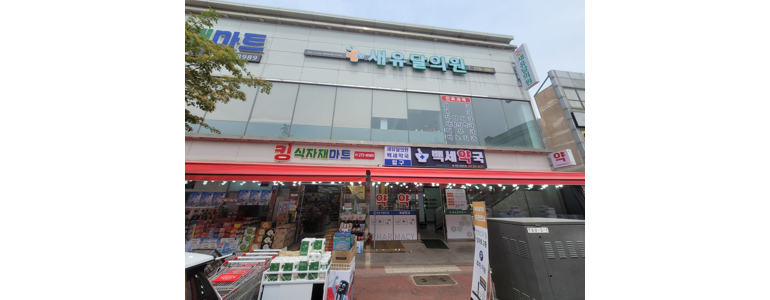 신안군 내과