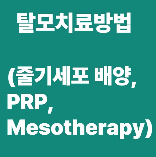 탈모치료 방법