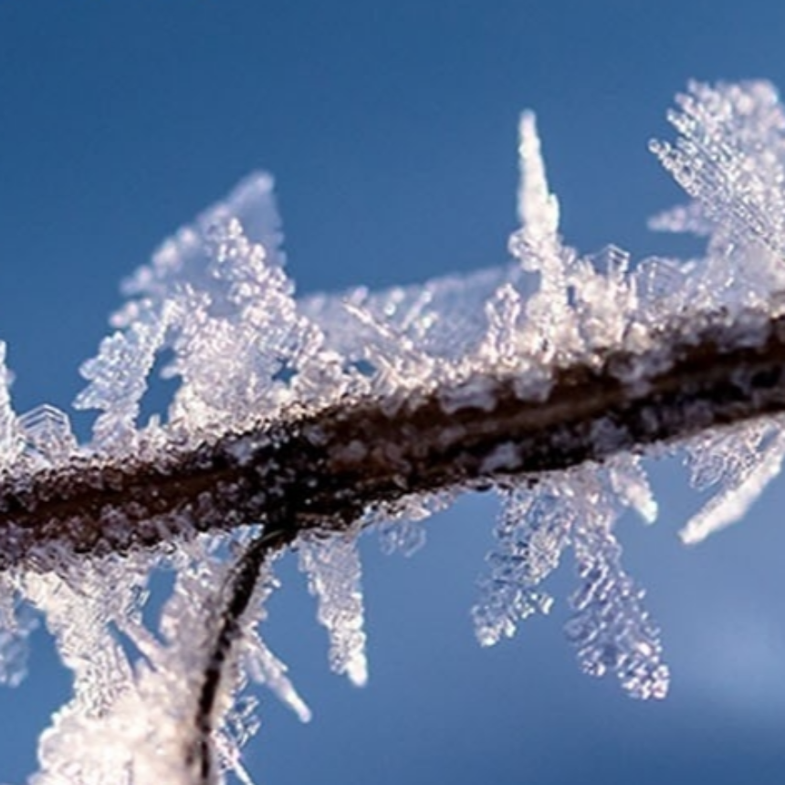 계절의 변화를 세분화한 24 절기 중 '상강' 이해하기