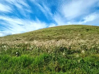 제주 새별오름 오르기 좋은 시간과 주변 명소 정리_38