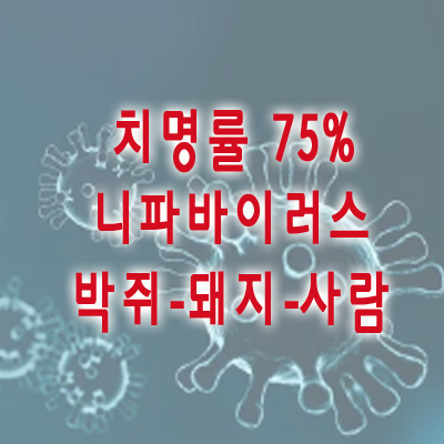니파바이러스