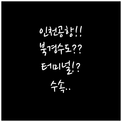 인천공항 북경수도항공 탑승을 위한 터..