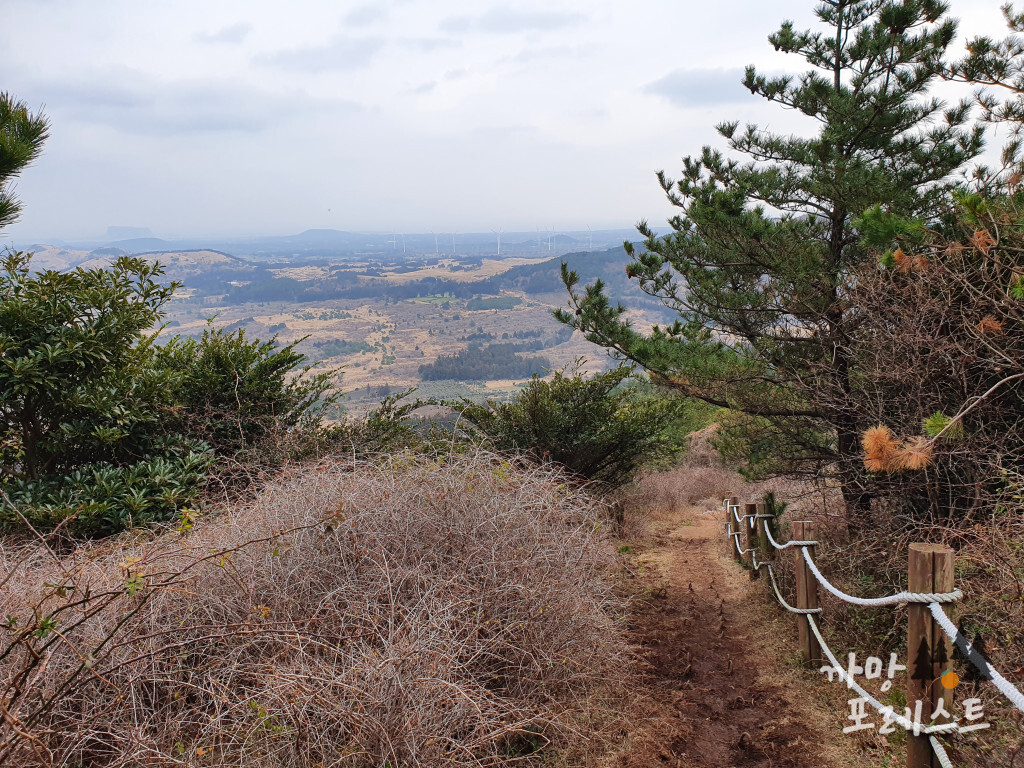 높은 오름 풍경