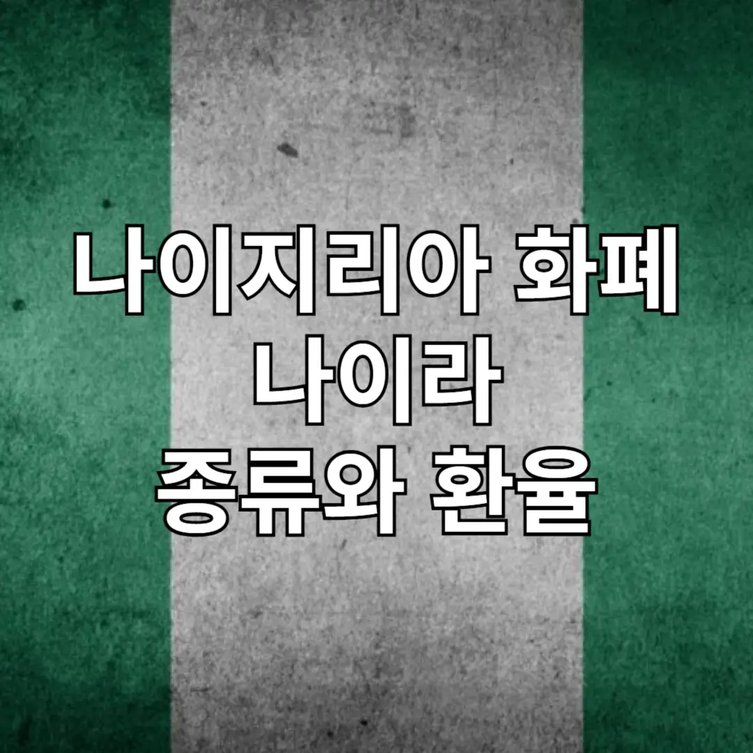 나이지리아 화폐 나이라 종류와 환율