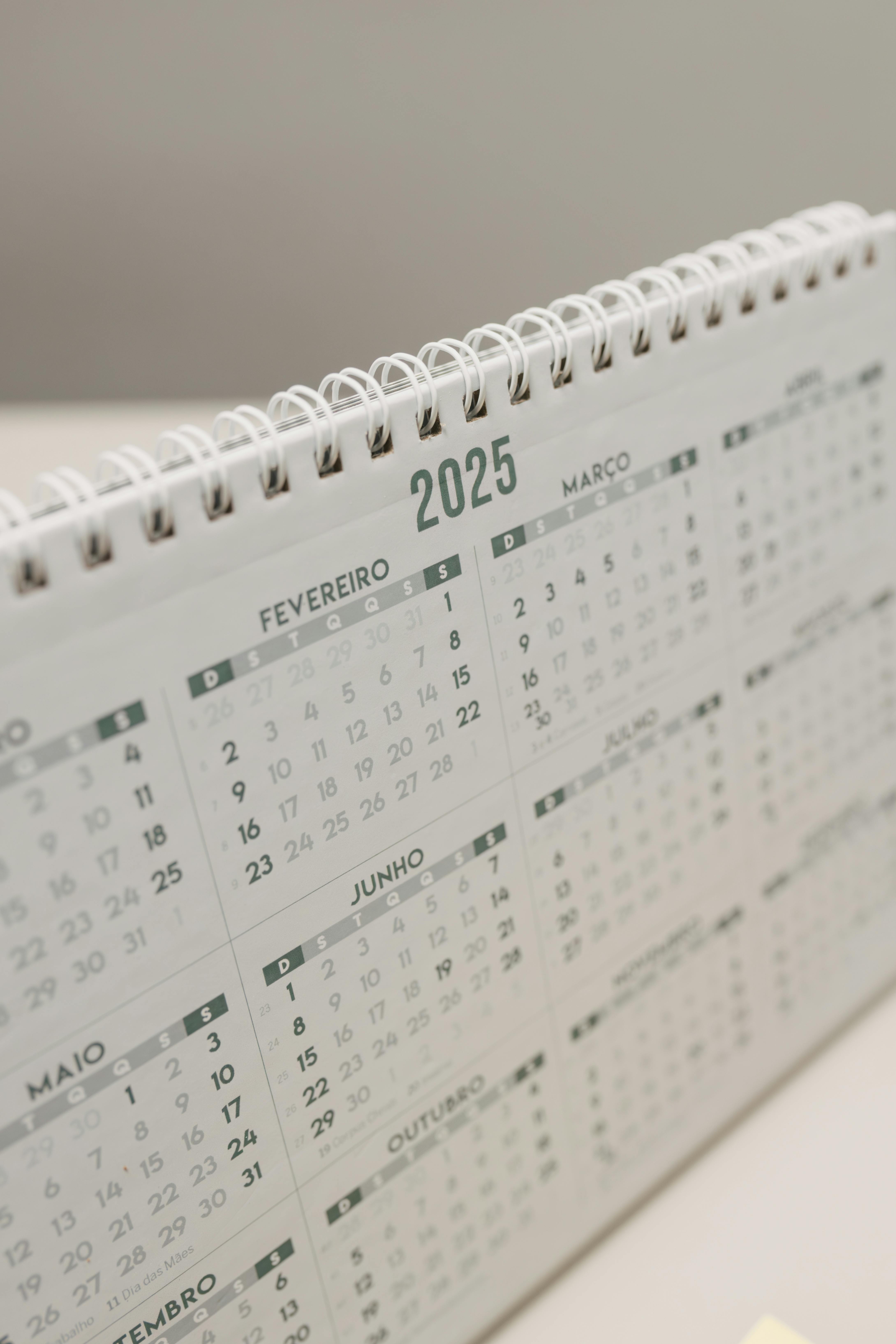 2025년 신년운세