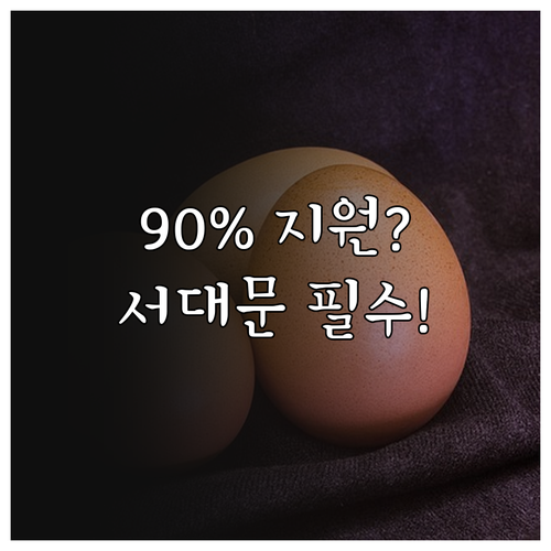 서대문구 2025 난임부부 약제비 본..