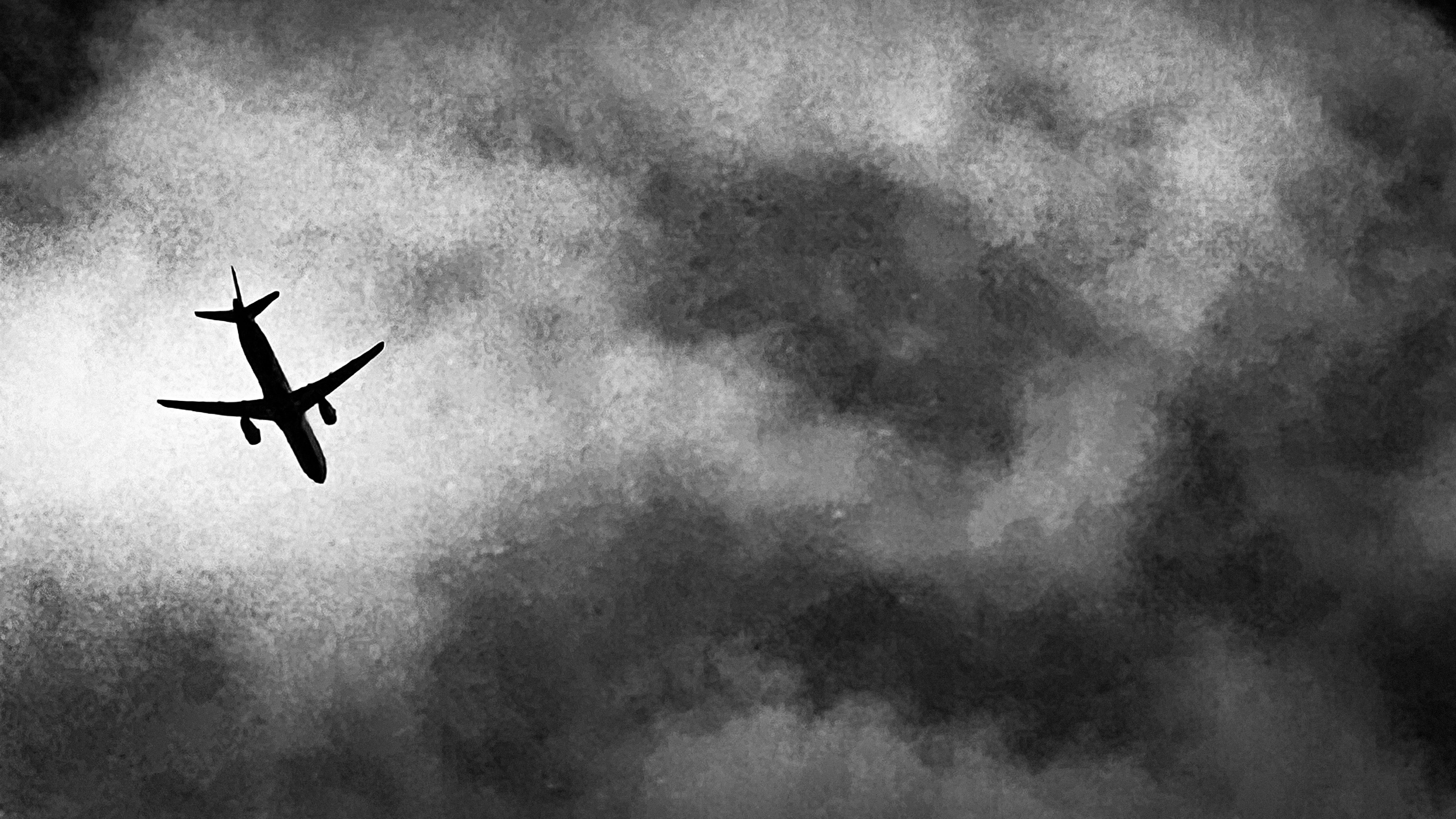 비행기 타고 싶다...