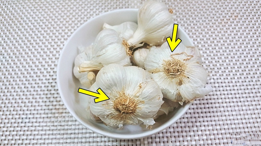 통마늘-심지