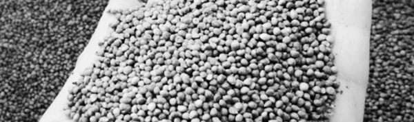 앞뒤 재배 가능