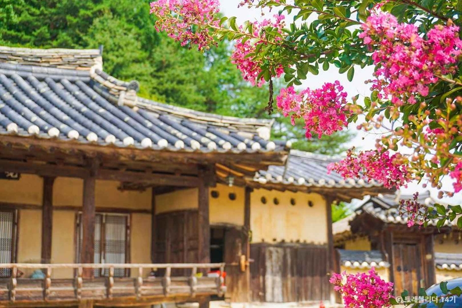 영주 가볼만한곳 베스트10