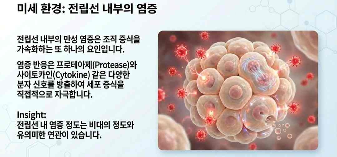 전립선비대증원인-사진3