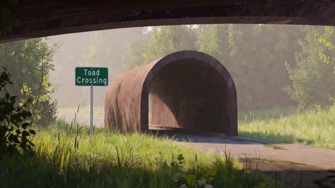 양서류 보호를 위해 설치된 도로 밑 생태 통로와 안내판