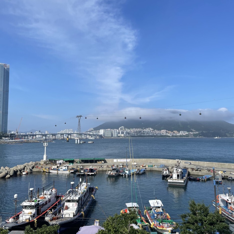조새호 뷰