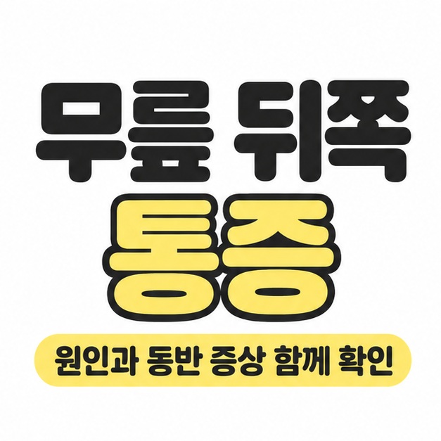 무릎 뒤쪽 통증 제목과 원인 및 동반 증상을 함께 확인하라는 문구를 담은 대표 카드