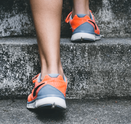 헬시 플레저 - 개요