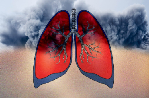 미세먼지가 환경에 미치는 영향과 해결 방안: 대기, 수질, 토양