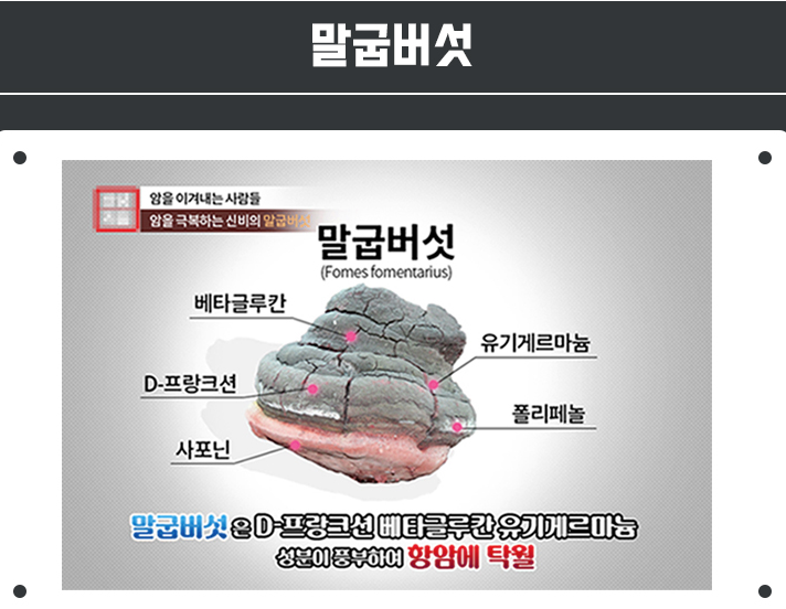 말굽버섯 효능