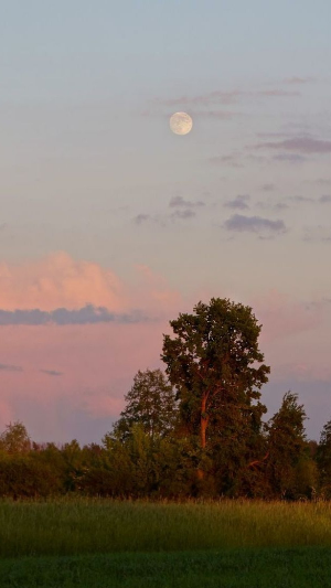 스마트폰 배경화면 잠금화면 자연 풍경 무료 다운로드