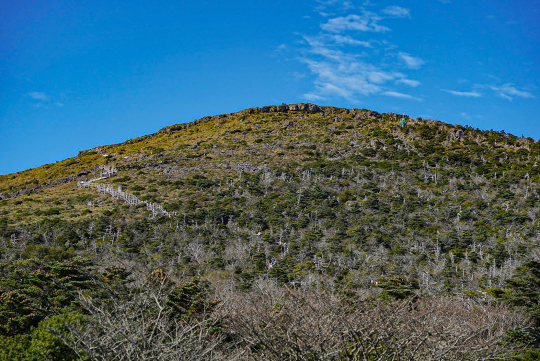한라산 정상 탐방로