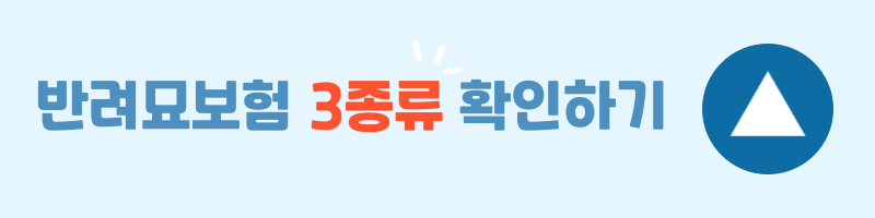 반려묘 보험 비교 설명 이미지