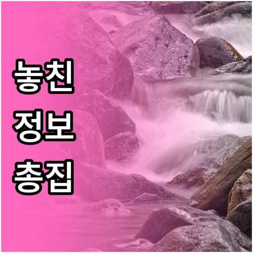 집에서 만드는 이력서 사진: 조명부터..