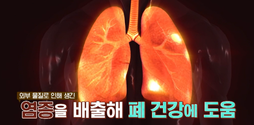 맥문동 효능