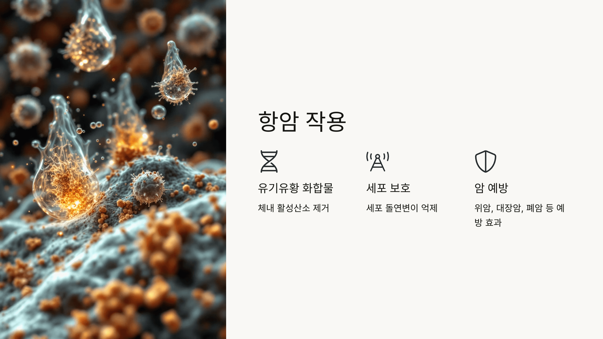 마늘 사진입니다.