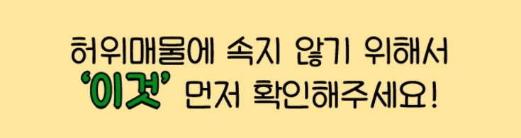 중고차량