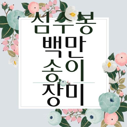 심수봉 백만송이 장미