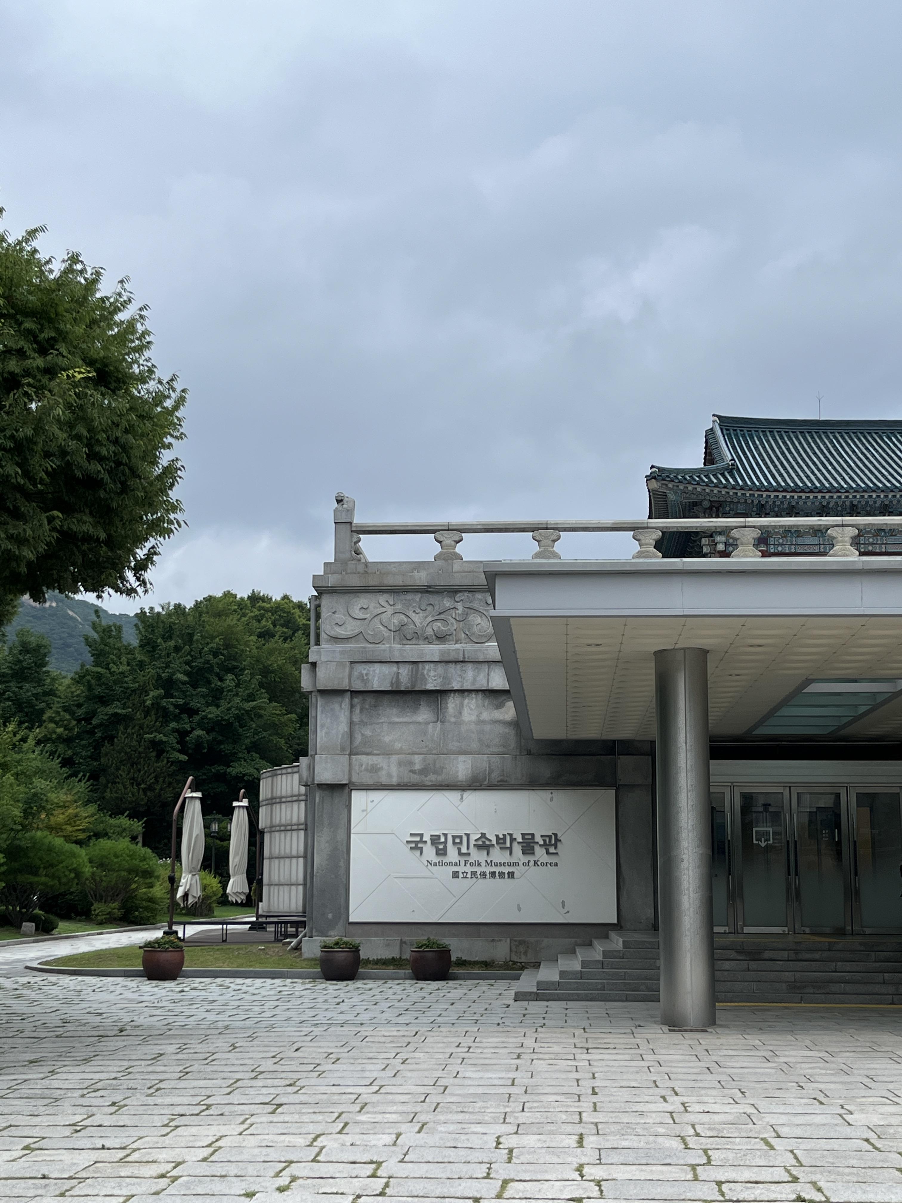 요물 우리를 홀린 고양이