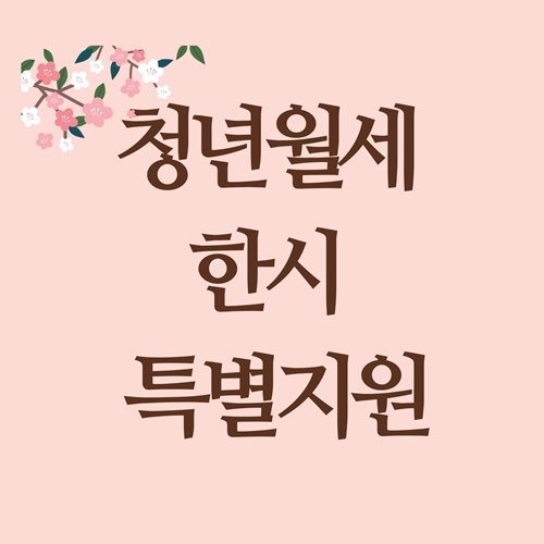 청년월세 한시 특별지원