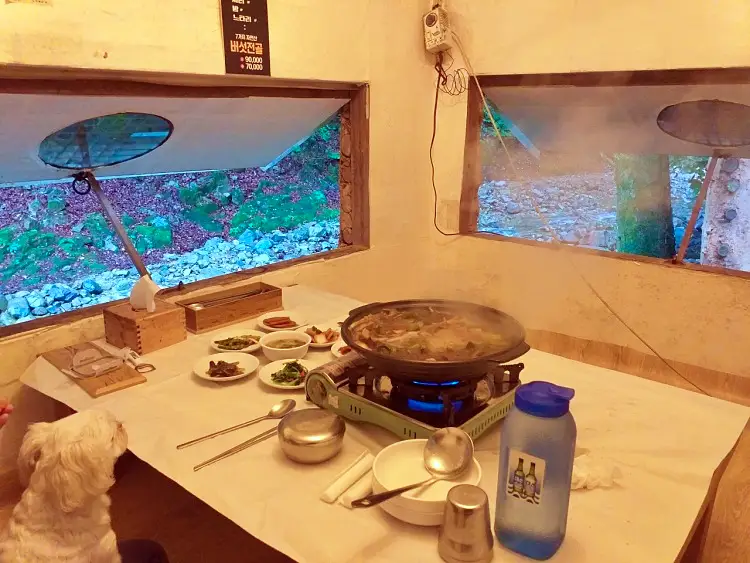 투데이 맛있는 메뉴 오리 불고기, 오리 백숙 맛있는 식당 추천 부산 기장 맛집