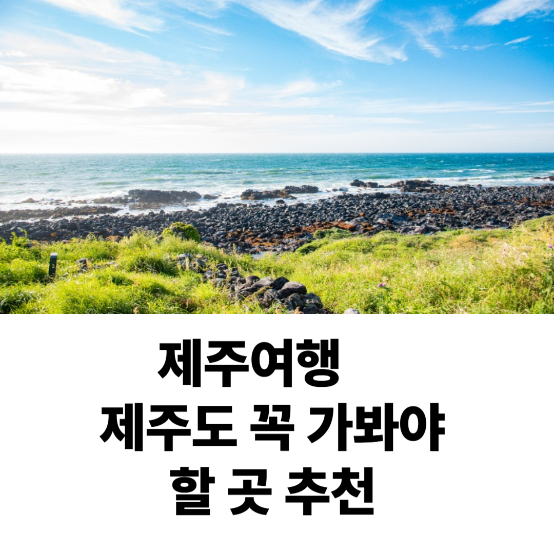 제주여행 - 제주도 꼭 가봐야 할 곳 추천