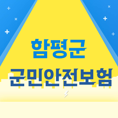 함평군 군민안전보험
