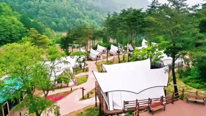 생방송 오늘저녁 정선으로 여행가자 여행지 BEST 5 소개 방송