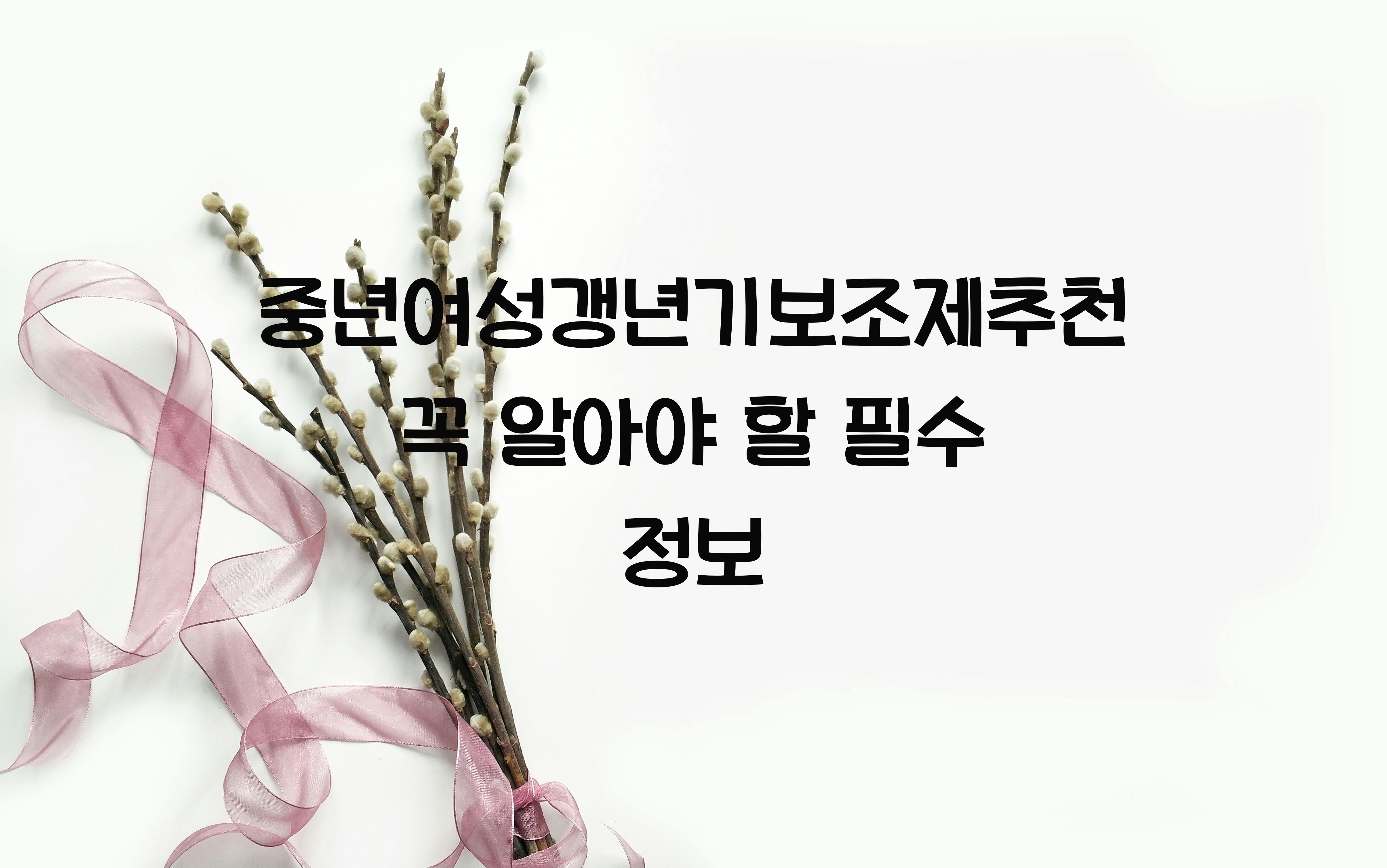 중년여성갱년기보조제추천