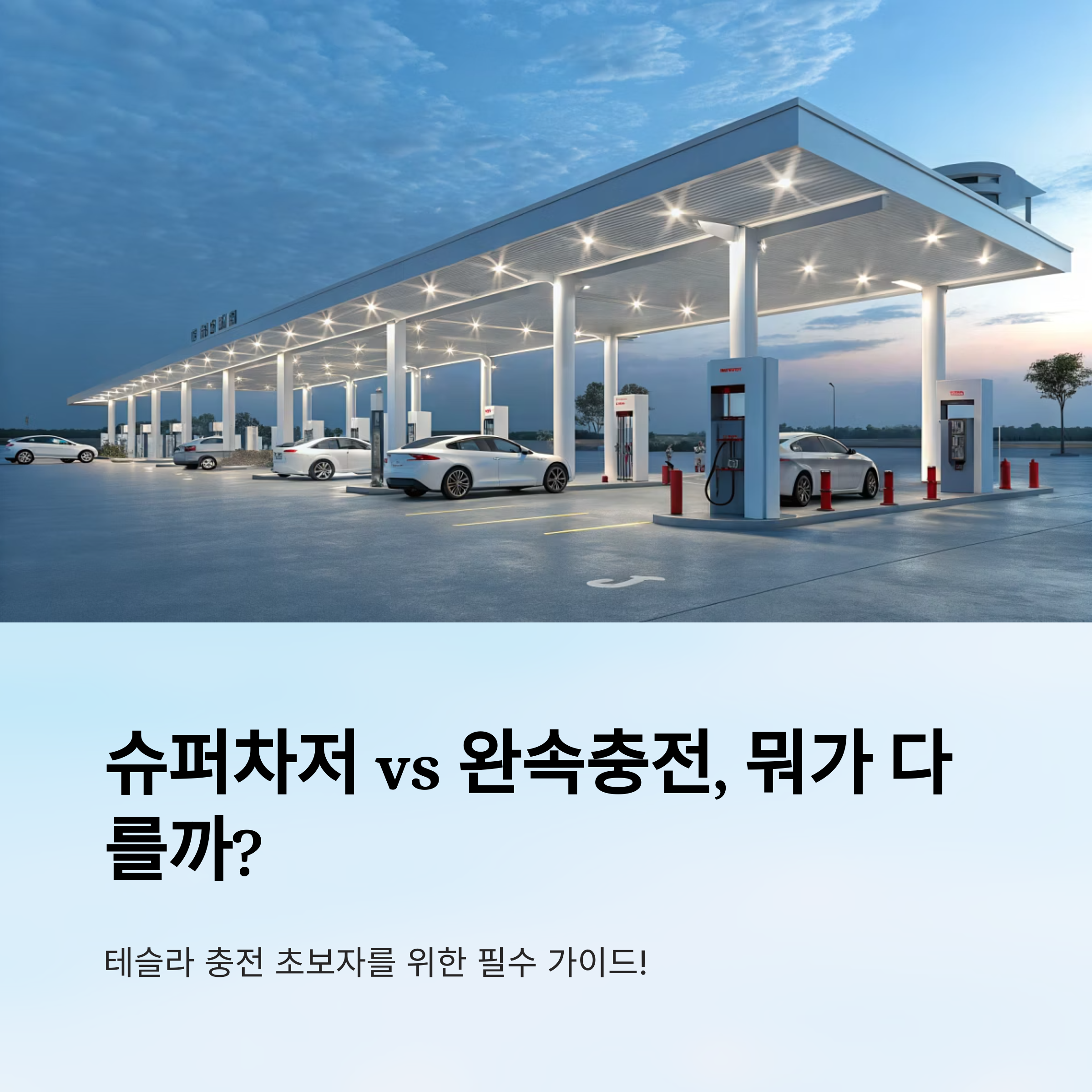 테슬라 초보자를 위한 현실 꿀팁