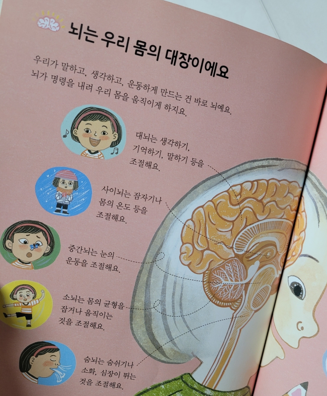 아기두뇌발달 아기시냅스