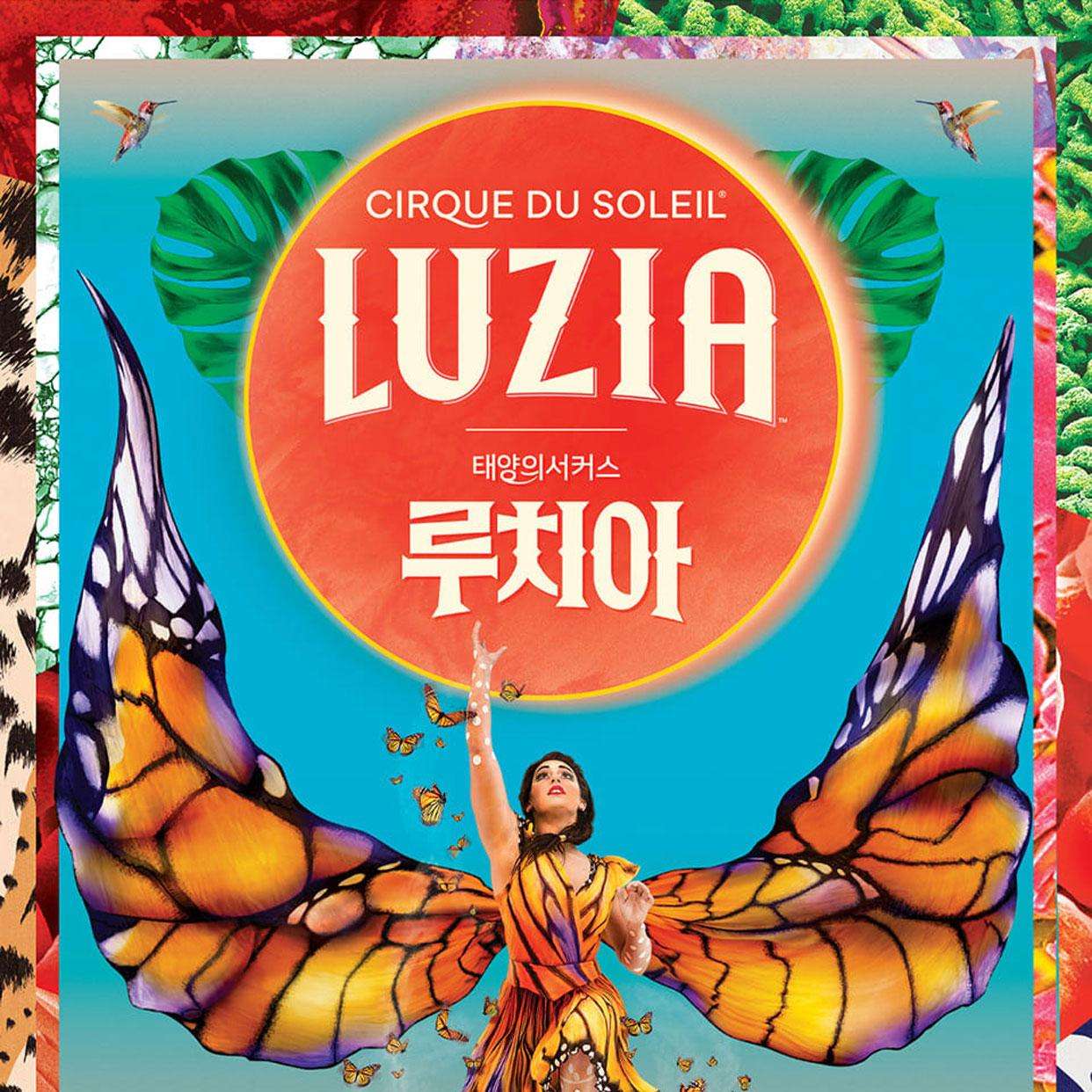 태양의 서커스, 루치아 기본정보 시간 날짜 가격 예매방법