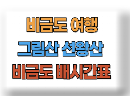 비금도 여행
