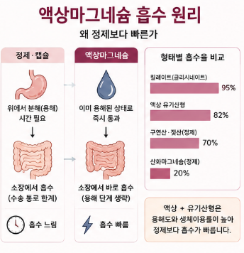 액상마그네슘-효과-흡수-추천-제품-비교-다이소-약국