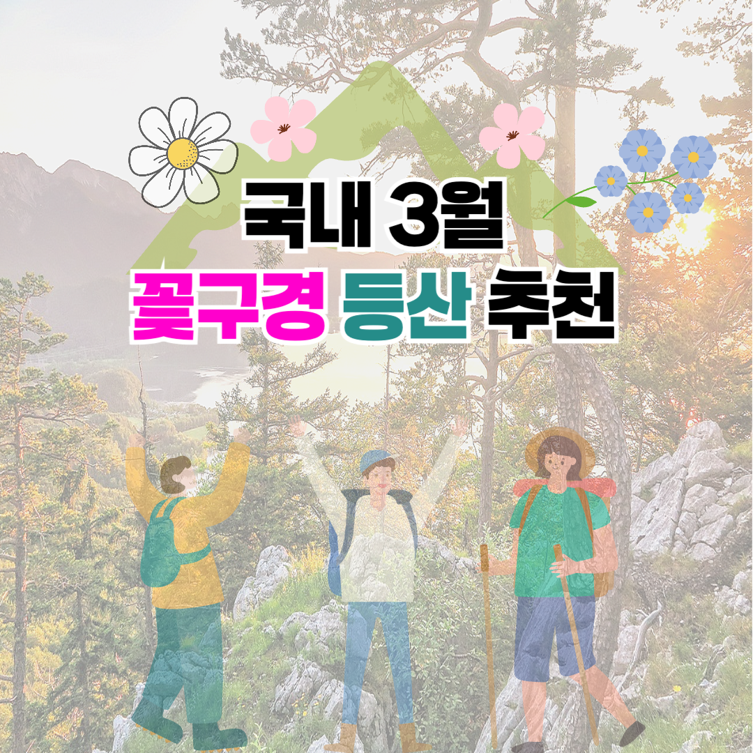 국내 3월 꽃구경 등산 여행 명소 추천 관련 사진