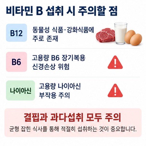 비타민 B 부족 시 피로 빈혈 구내염 손발 저림 등이 나타날 수 있고 고용량 보충제 장기복용에 주의해야 한다는 내용을 정리한 이미지