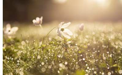 입춘대길 붙이는 시간 방법