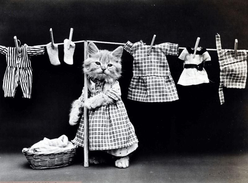 빨래에서 쉰내 날 때 대처법