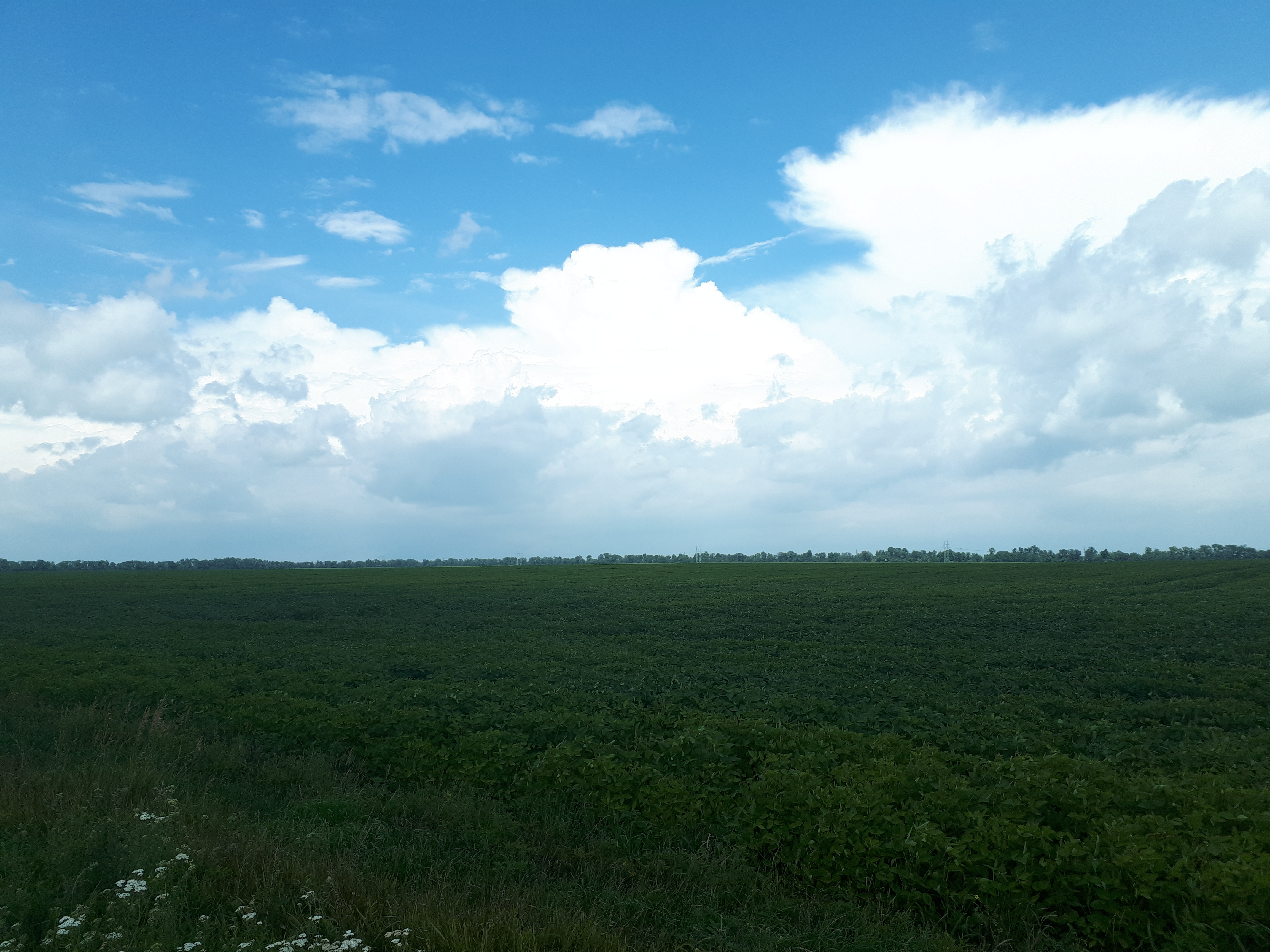우크라이나 키히린 평야