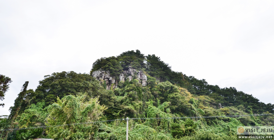 제주 여행 2박3일 추천코스(자유여행)